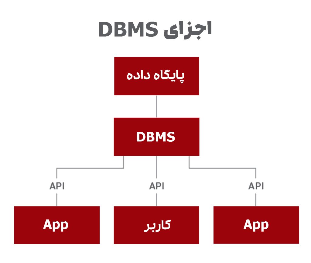 اجزای DBMS